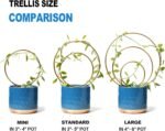 Golden Round Hoya Trellis Set of 3 - Image 2