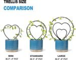 Black Hoya Heart Shaped Plant Trellis Set - Image 2
