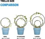 3-Size Metal Hoya Trellis Set | Indoor Plant Support for Pothos, Ivy & Climbing Vines - Image 2