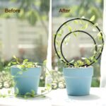 3-Size Metal Hoya Trellis Set | Indoor Plant Support for Pothos, Ivy & Climbing Vines - Image 4