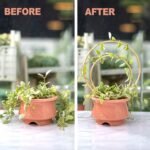 Golden Round Hoya Trellis Set of 3 - Image 4