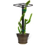 Durable Metal Dragon Fruit Trellis | Vertical Support for Climbing Plants & Trees