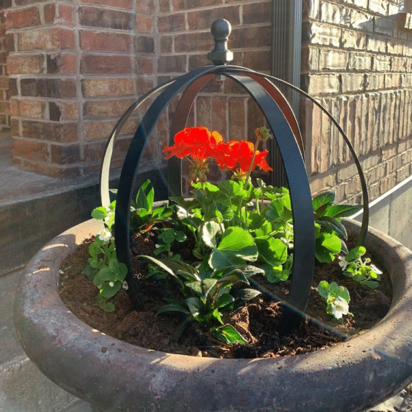 Large Round Black Metal Garden Trellis | Outdoor Climbing Plant Support & Decor