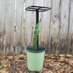 Durable Metal Dragon Fruit Trellis | Vertical Support for Climbing Plants & Trees - Image 5